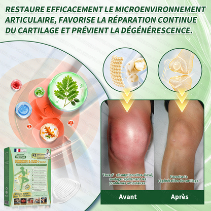 Boutique Officielle 🇫🇷 | Patch Minceur Solaroza® 10-en-1 : Relancez le Métabolisme et Brûlez les Graisses (NAD+ & Berbérine)